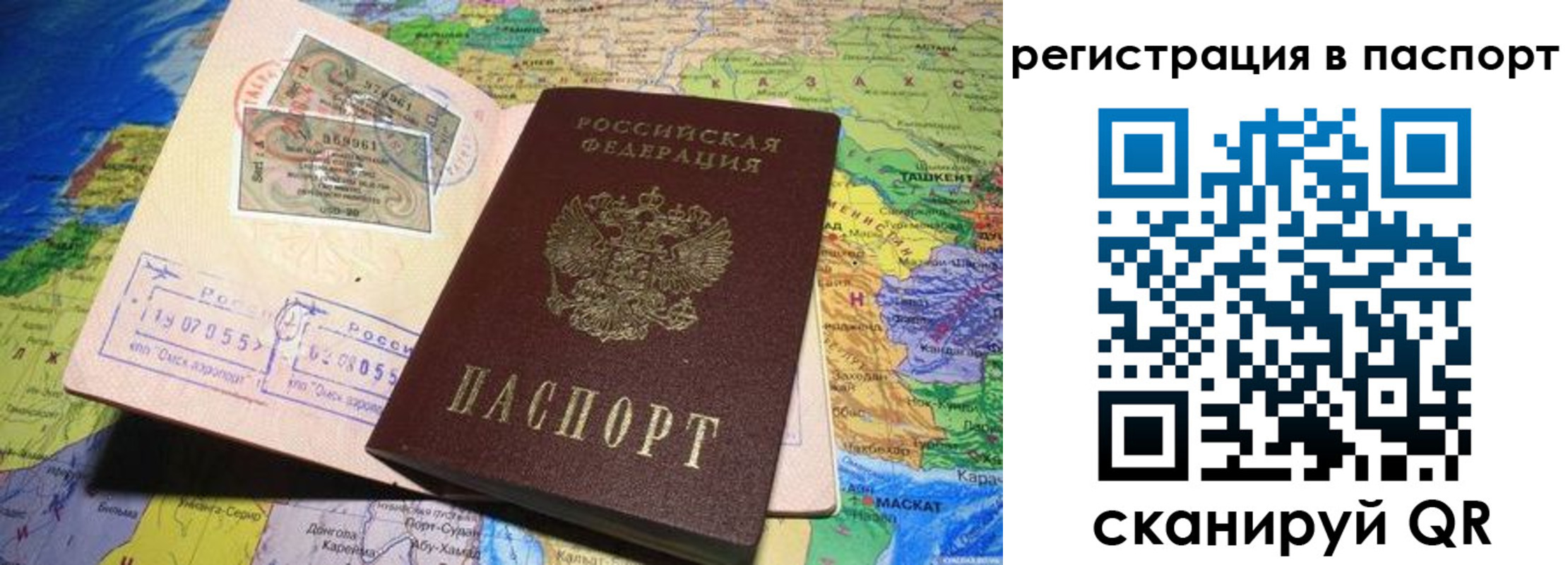 прописка гарантия в Апатитах
